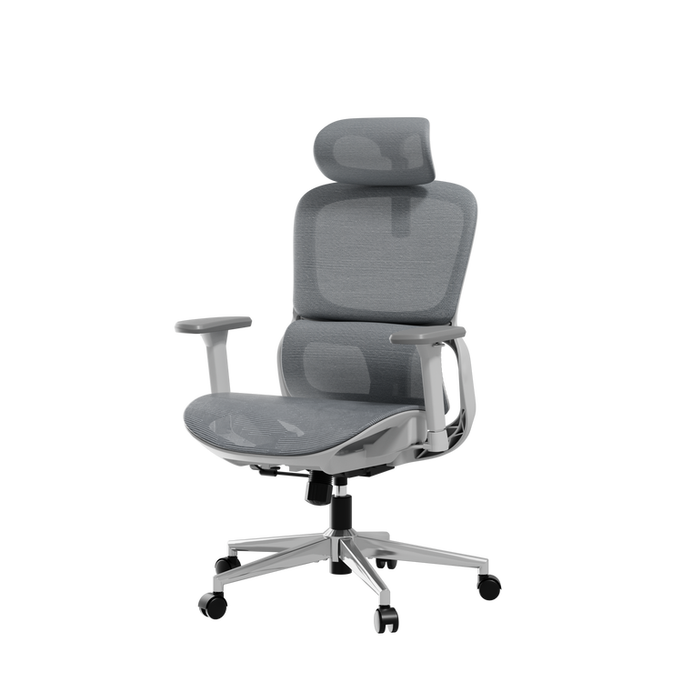 HBADA P2 Air Ergonomic Office Chair mesh gray
