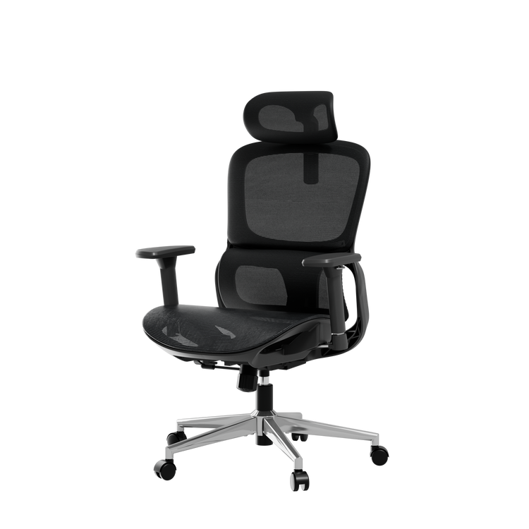 HBADA P2 Air Ergonomic Office Chair mesh black
