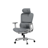 HBADA P2 Air Ergonomic Office Chair mesh gray