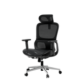 HBADA P2 Air Ergonomic Office Chair mesh black