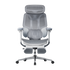 HBADA E3 Pro Ergonomic Office Chair with Footrest-grey