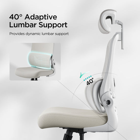 P1 Ergonomic Office Chair