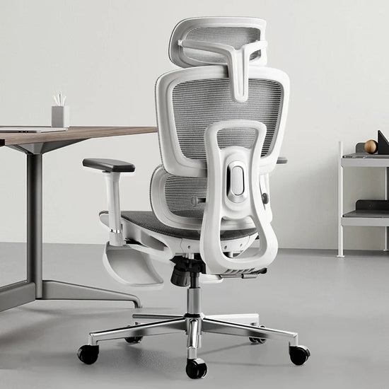 Hbada E2 Ergonomic Office Chair white 